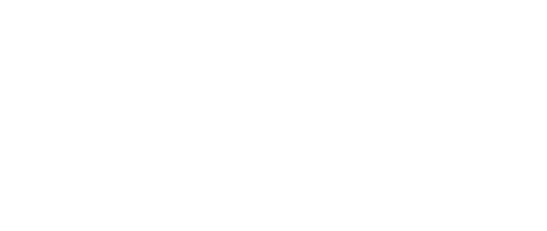 fsfm